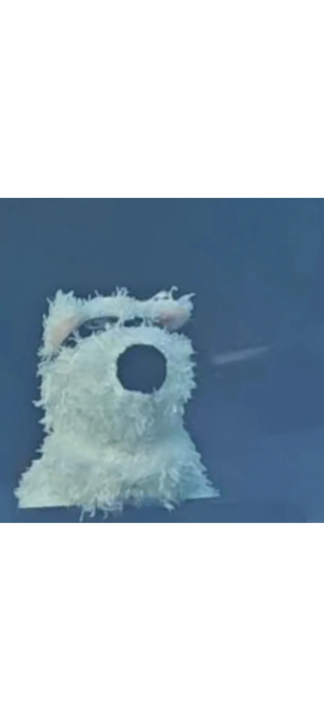 人还是要向前走的