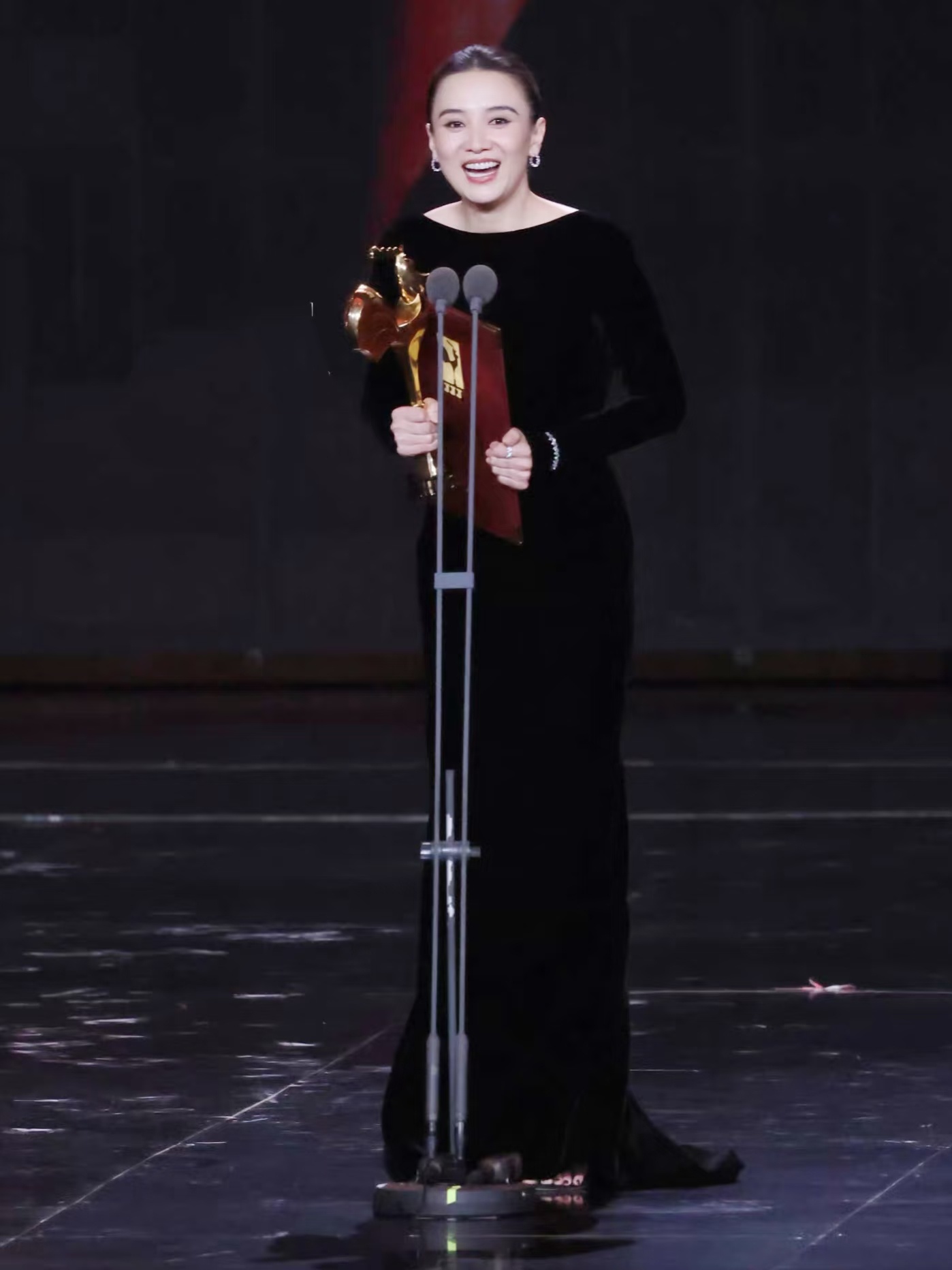 最佳女主角：宋佳《好东西》恭喜宋佳，第二次荣获金鸡奖最佳女主角，这两年影视剧两开