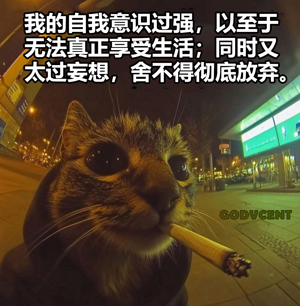 🚬 ​​​