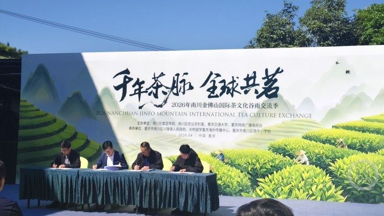 南川茶签约直供粤港澳 中外青少年共植“国际友谊茶树”