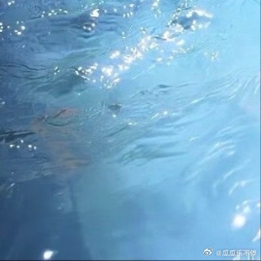 每日一善 谁的人生不是荆棘前行，你跌倒的时候，懊恼的时候，品尝眼泪的时候，都请你