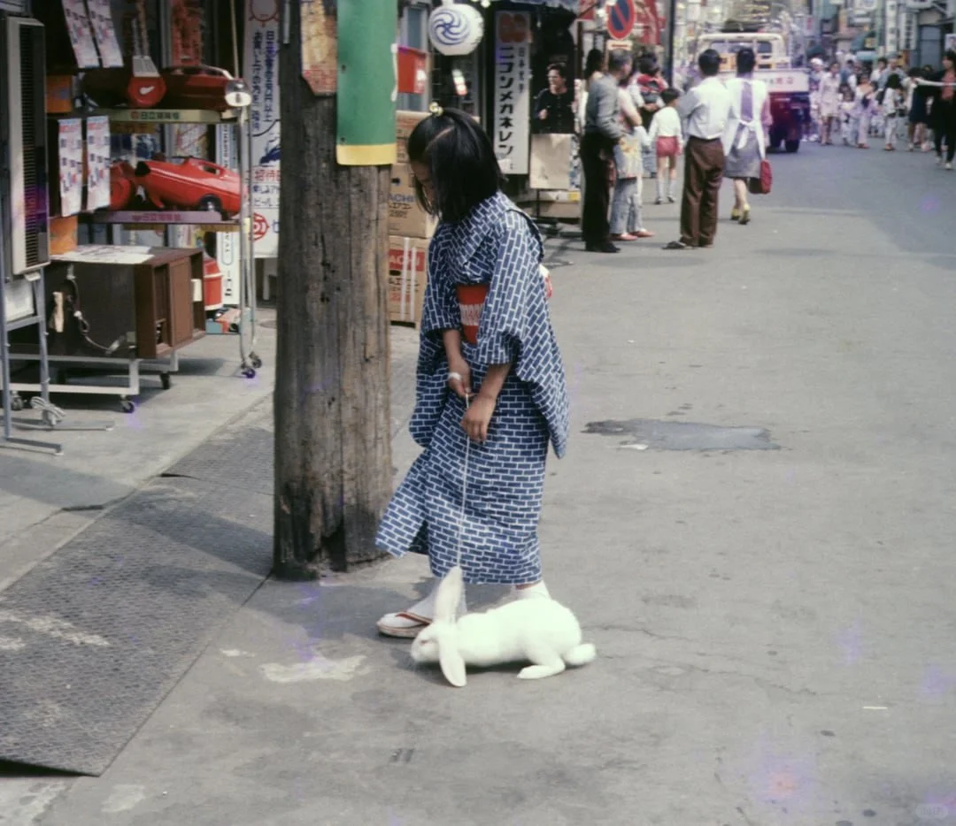 身穿夏季和服的女孩遛兔子。日本新川，1973 年