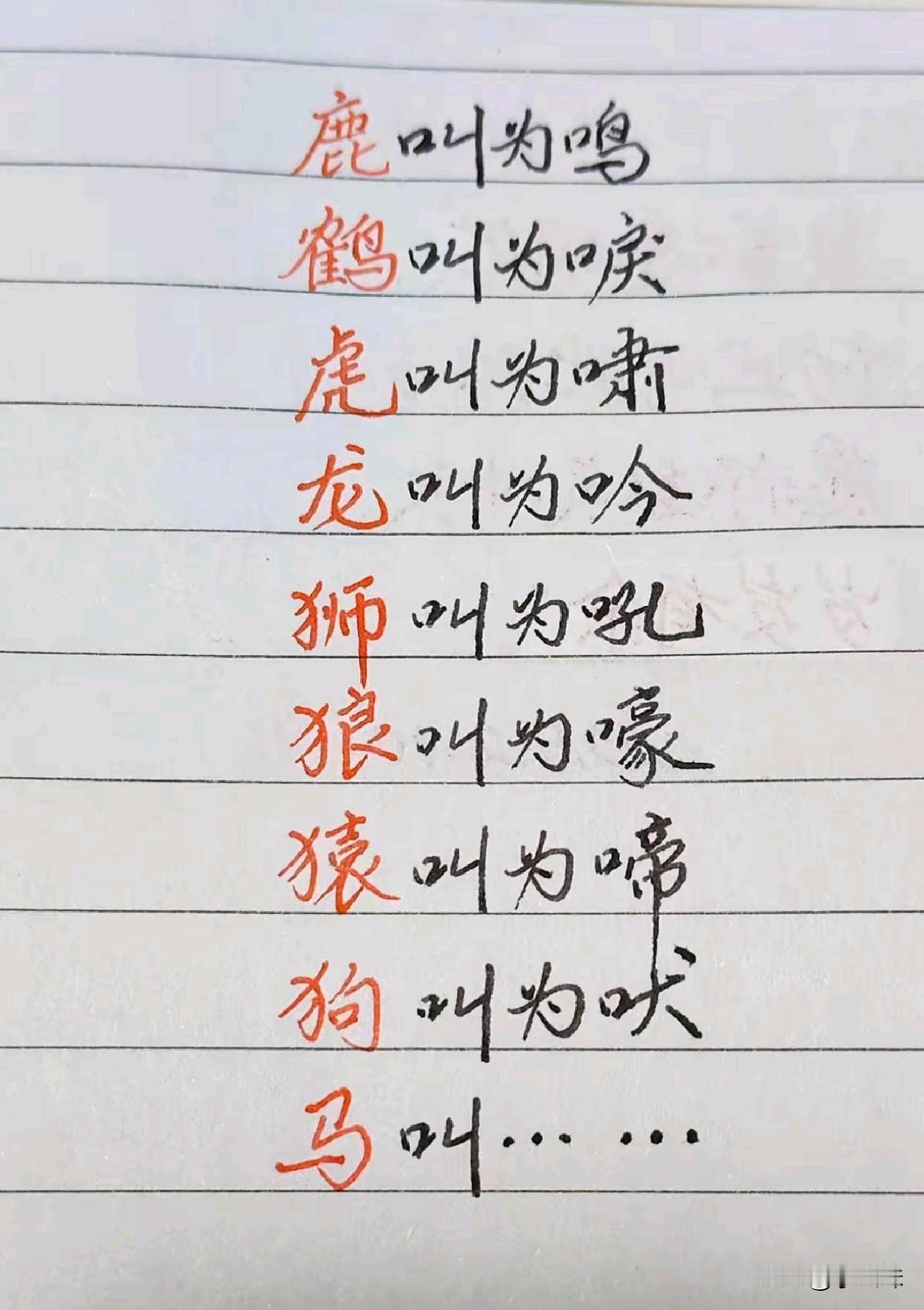 马叫啥？
