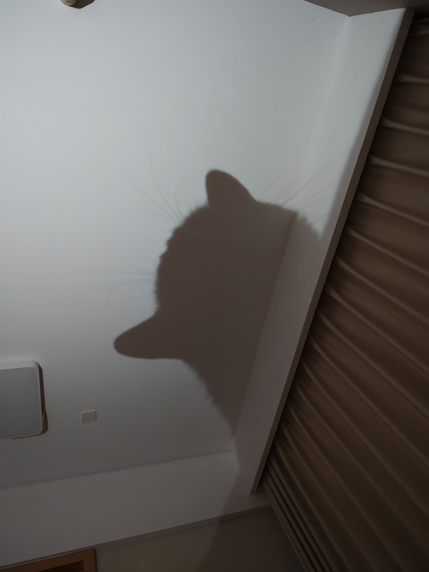 我不看爽剧看什么？我当了一天牛马🐮🐴 是为了回家追个剧把乳腺追堵，结节追大吗