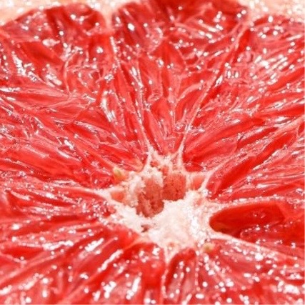 0000种植枣子（枣树）其实并不难，它耐旱、耐贫瘠，非常适合庭院或大田种植。这是