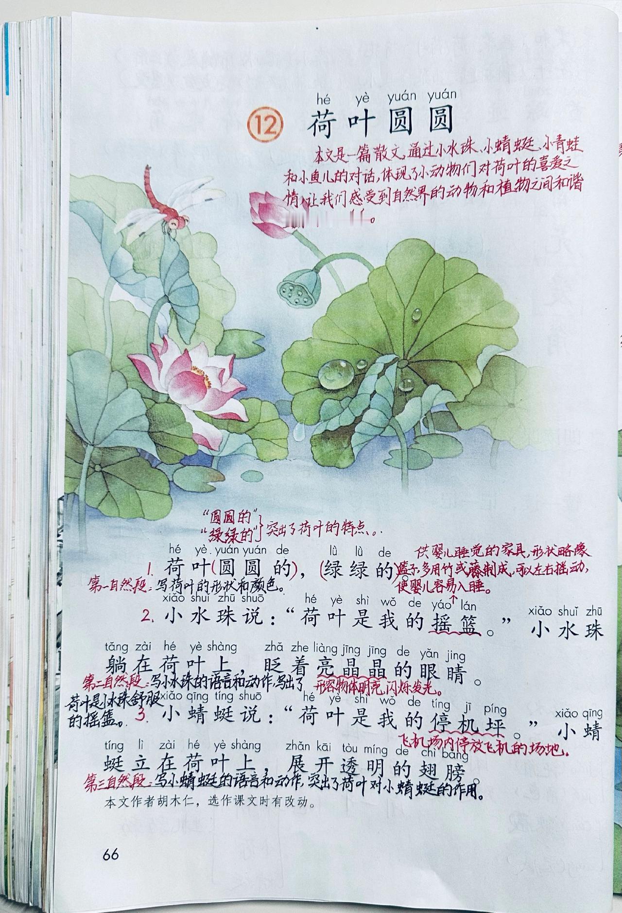 一下语文第12课《荷叶圆圆》课堂笔记