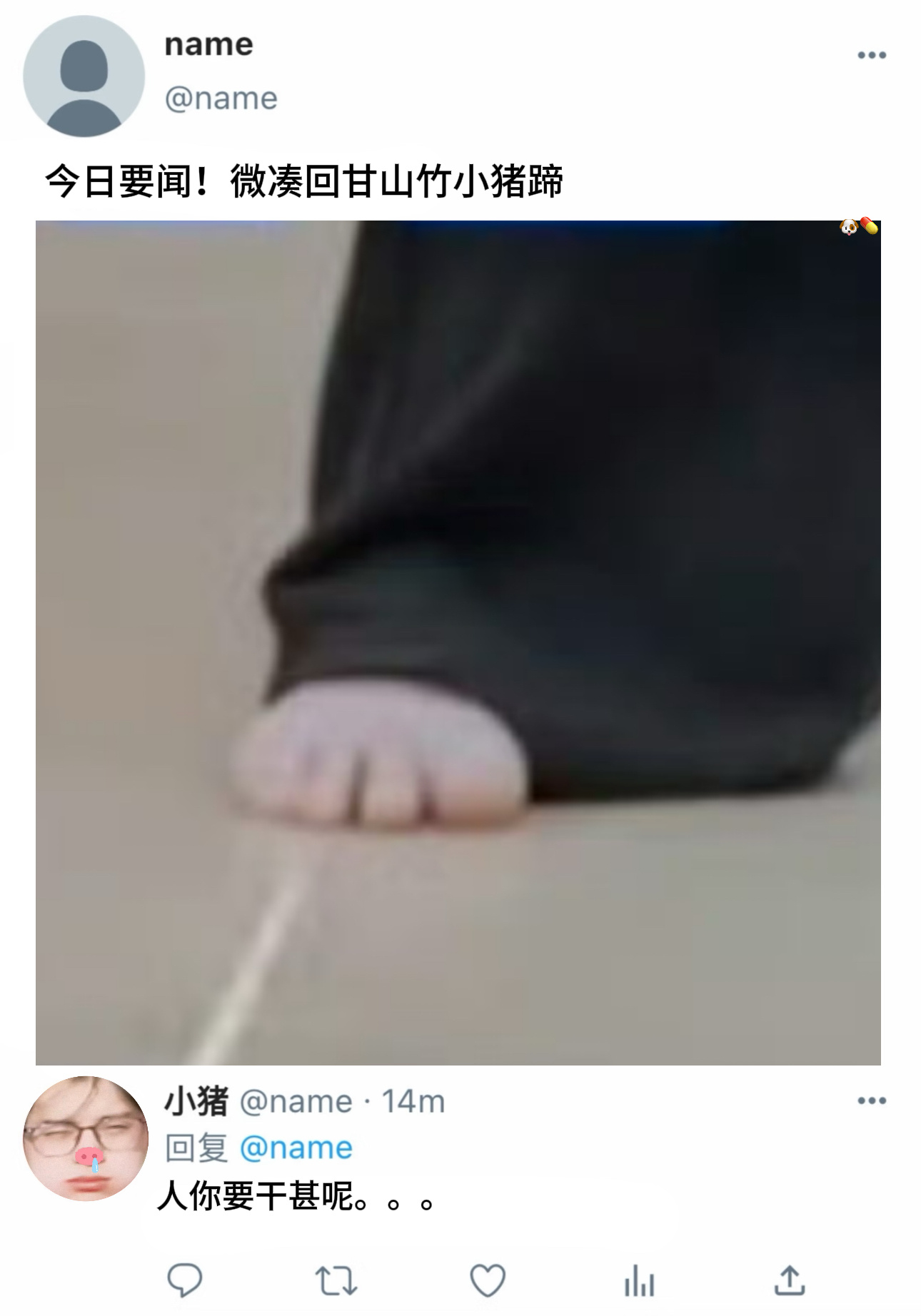 假如小猪会上网（？） 