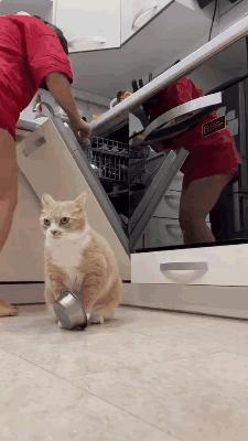 想刀一个人的眼神是藏不住的！ 