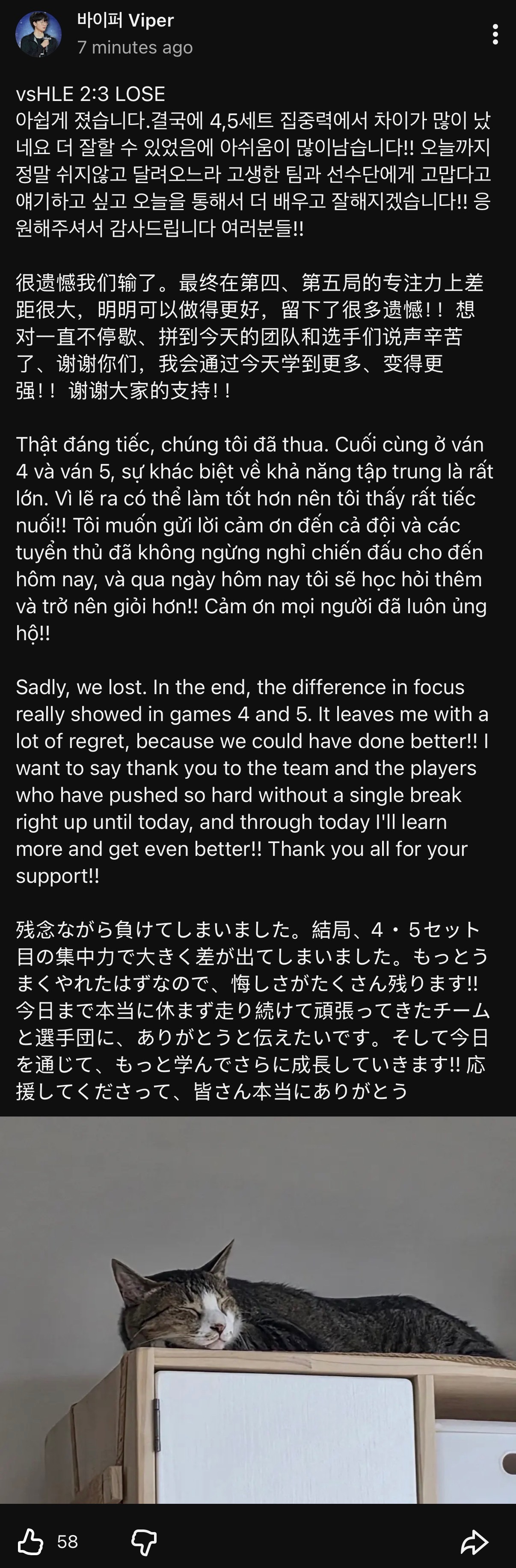 Vipertube MSI决赛H/LE战赛后更新🐍：很遗憾我们输了。最终在第四
