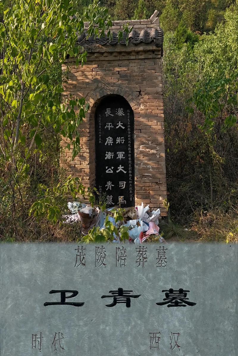 卫青去世汉武帝悲痛，赋谥号、亲选墓地，为啥转眼便灭了卫家满门
说起汉武帝和卫青，