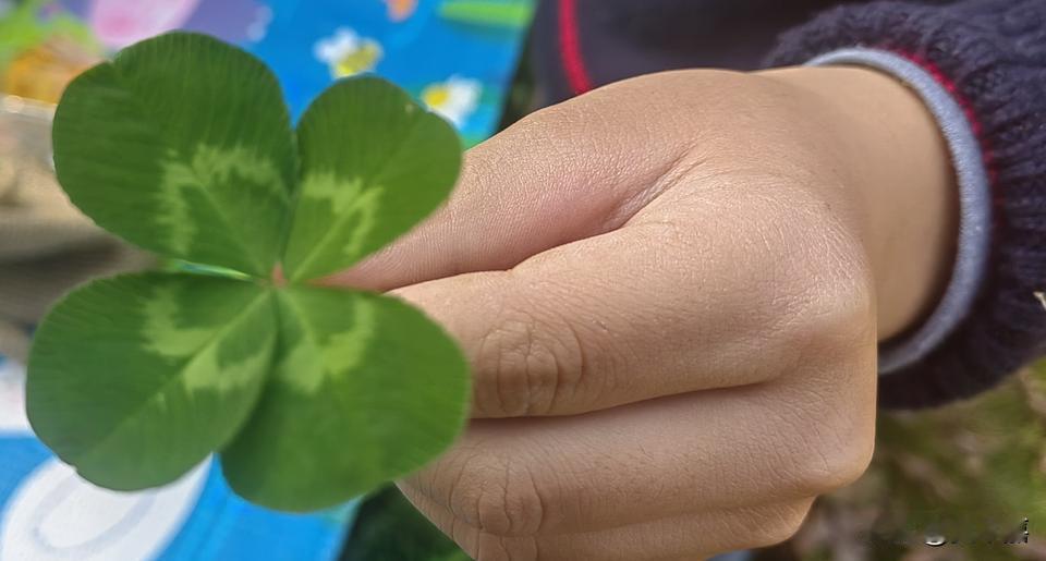 这小孩，没爹也呼呼地成长。基因好啊。