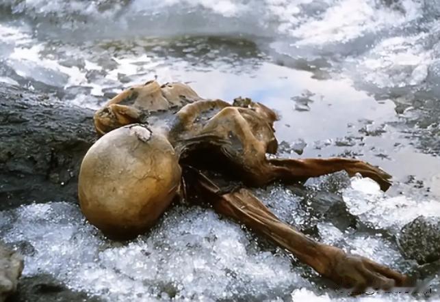 1991年，3000米的阿尔卑斯山上，一对夫妻发现了一个藏在雪中的冰人，他左臂压