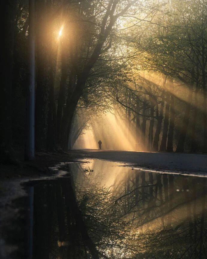 阿姆斯特丹该怎么去形容才最贴切｜Gosse Bouma 