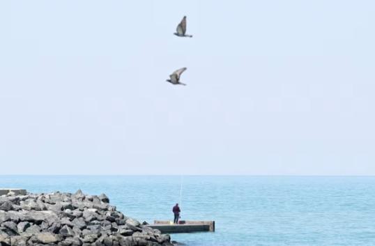 美国打得比俄罗斯还窝囊，俄罗斯再怎么说也顶着北约30多国的压力在乌克兰熬了快5年