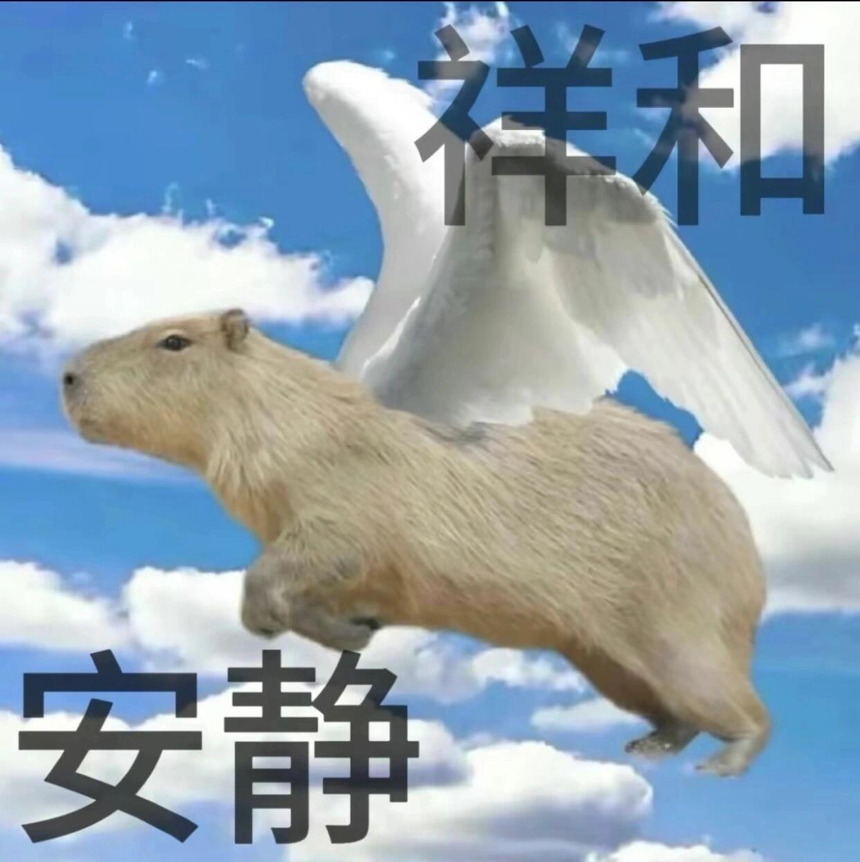 失眠了 