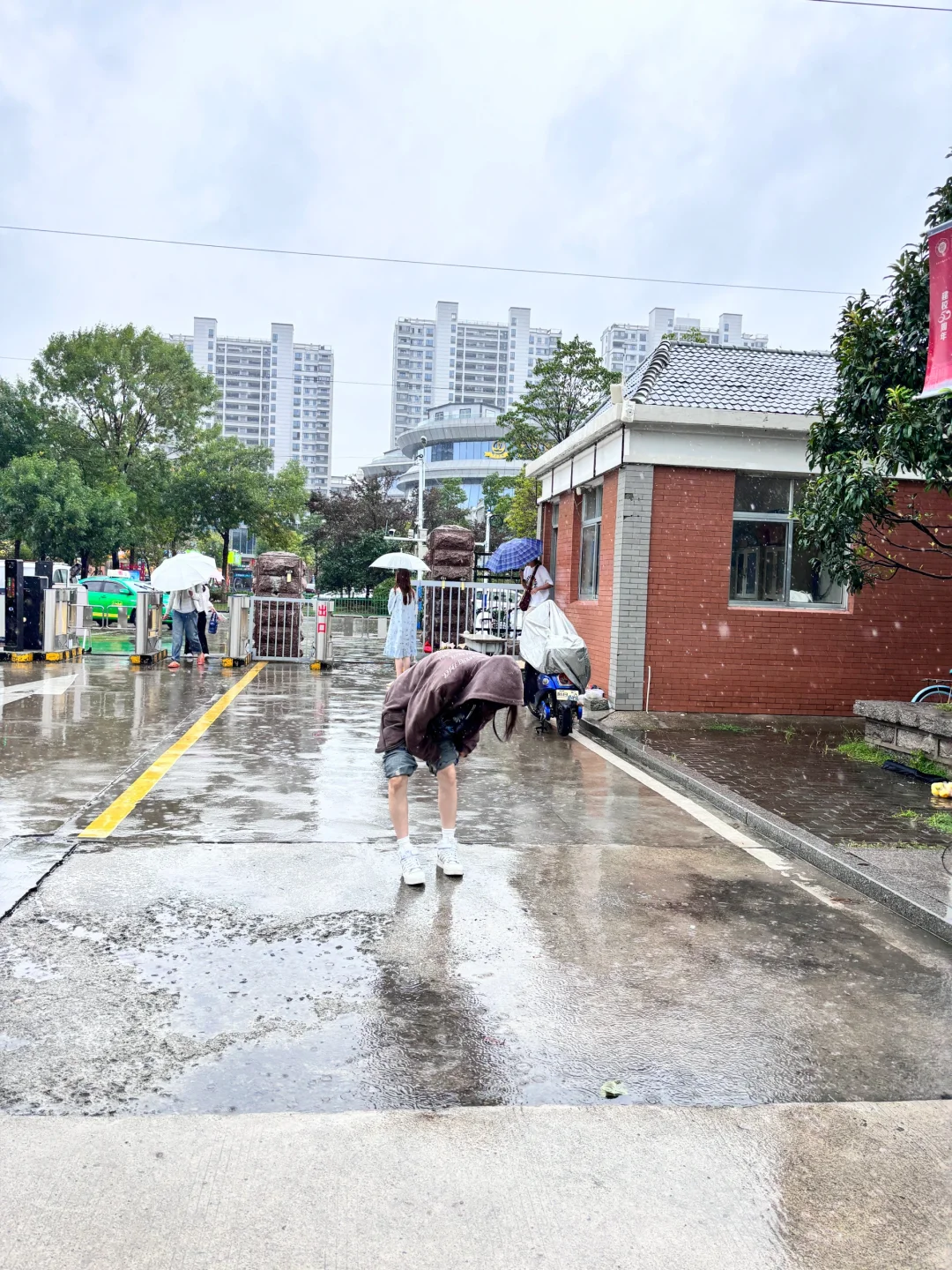 台风你他爹的