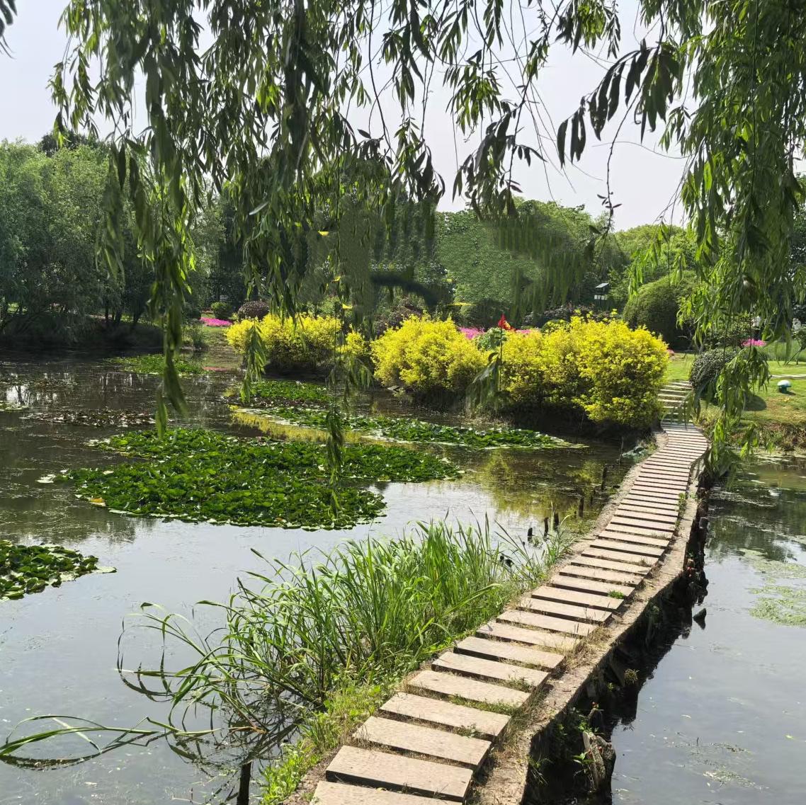 清清河边桥……