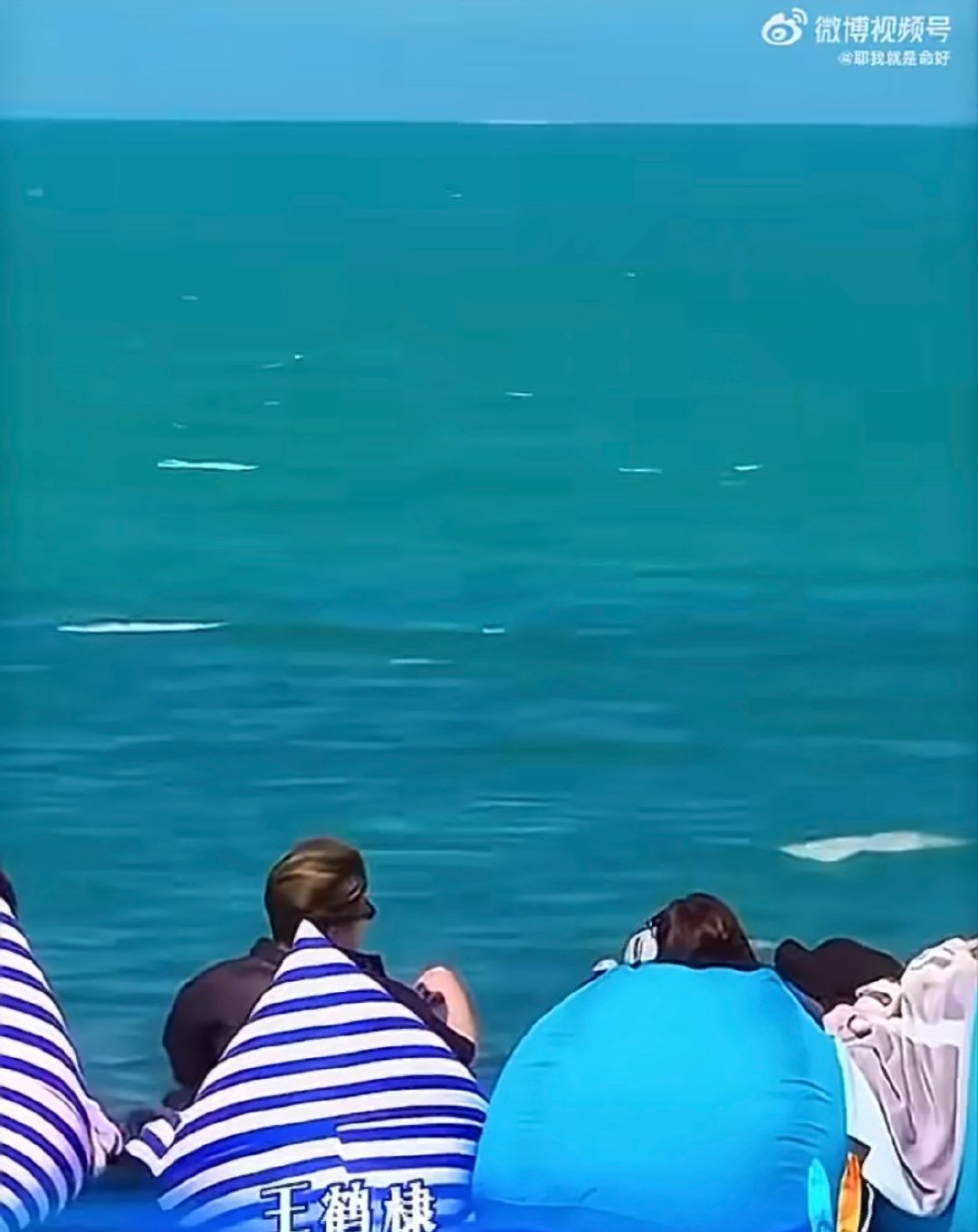 王鹤棣差点把秦岚崩出去秦岚惊魂一刻，被王鹤棣坐沙发的冲击力崩到，场面又好笑又可爱