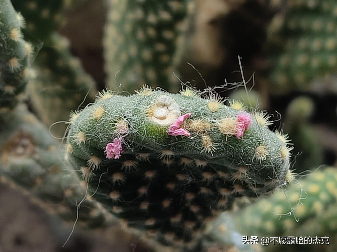 又是崭新的一天
一天好心情
不畏浮云遮望眼
自缘身在最高层
站得高
才能看得远