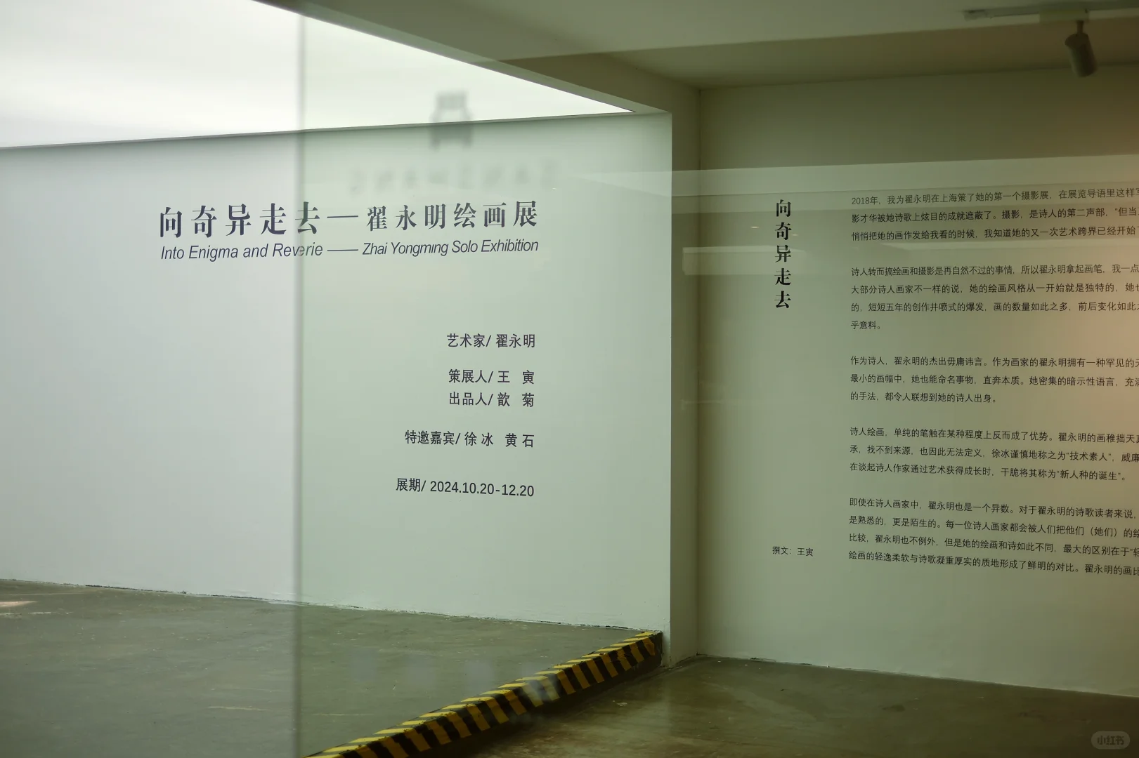走进翟永明的奇异世界🎨
