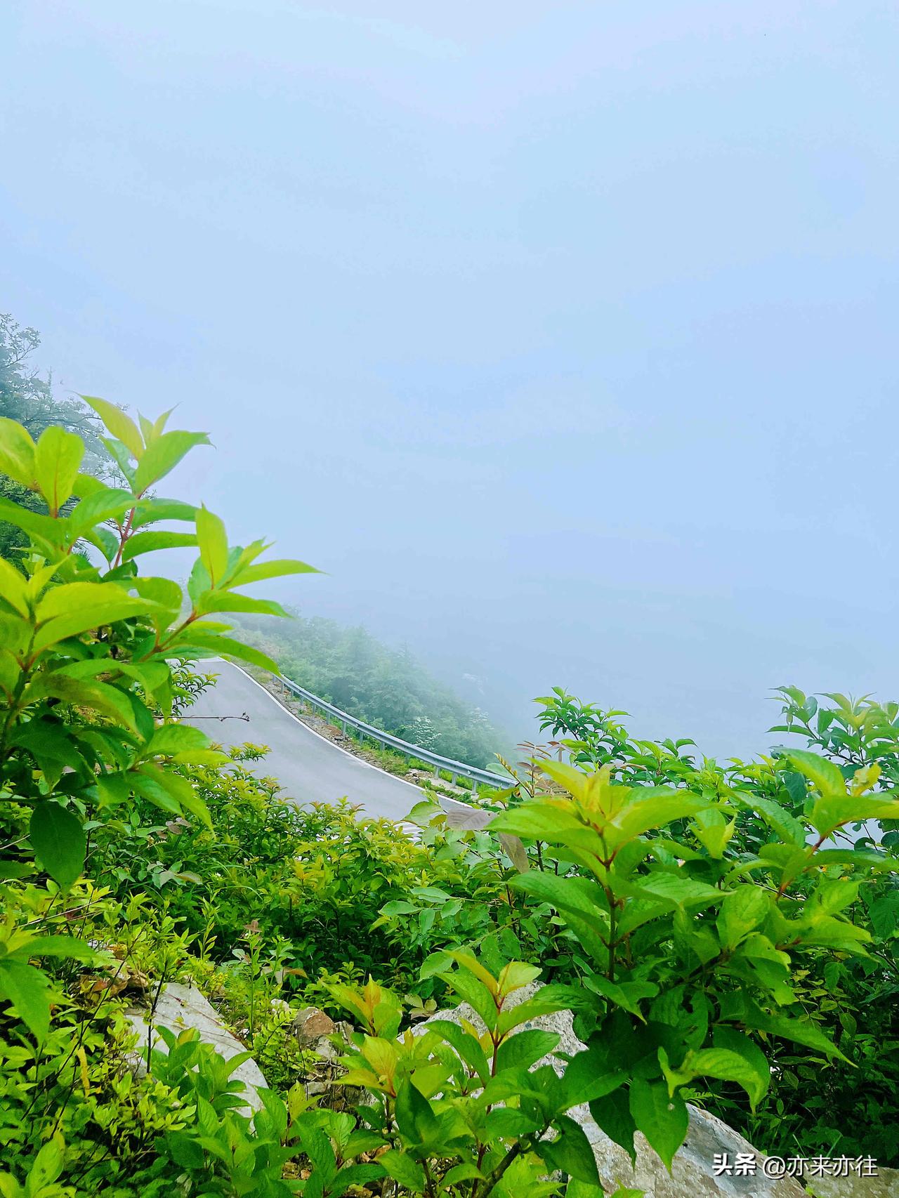 凌晨三点的ICU，躺着一位身价过亿的企业家。前一天他还在纽约签下千万订单，此刻却