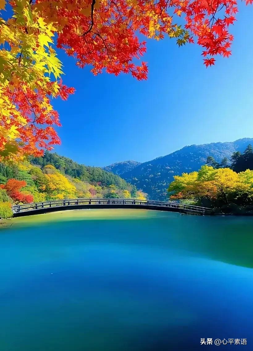 张雪峰说：“同学们，你们一定要多挣钱。我以前也觉得飞机头等舱没意义，住店有个床就