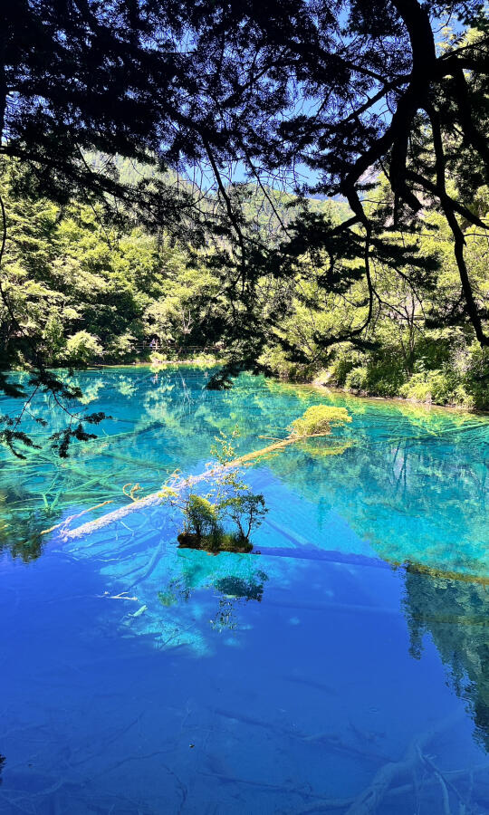 🍃夏日九寨沟 | 满屏照片配live图的震撼感！