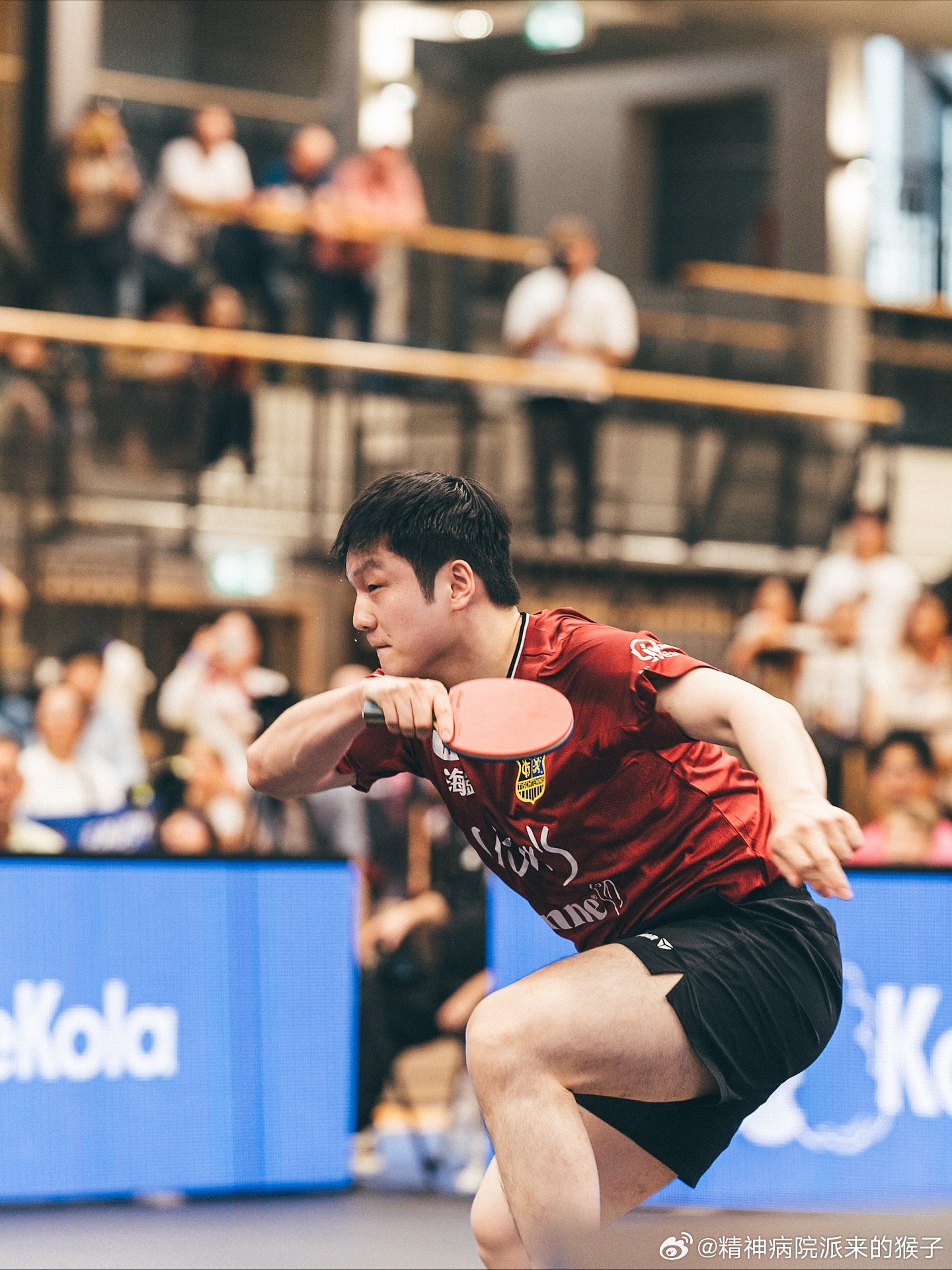 2025-2026赛季德国杯1/8决赛 萨尔布吕肯VS多特蒙德📷cr·schn