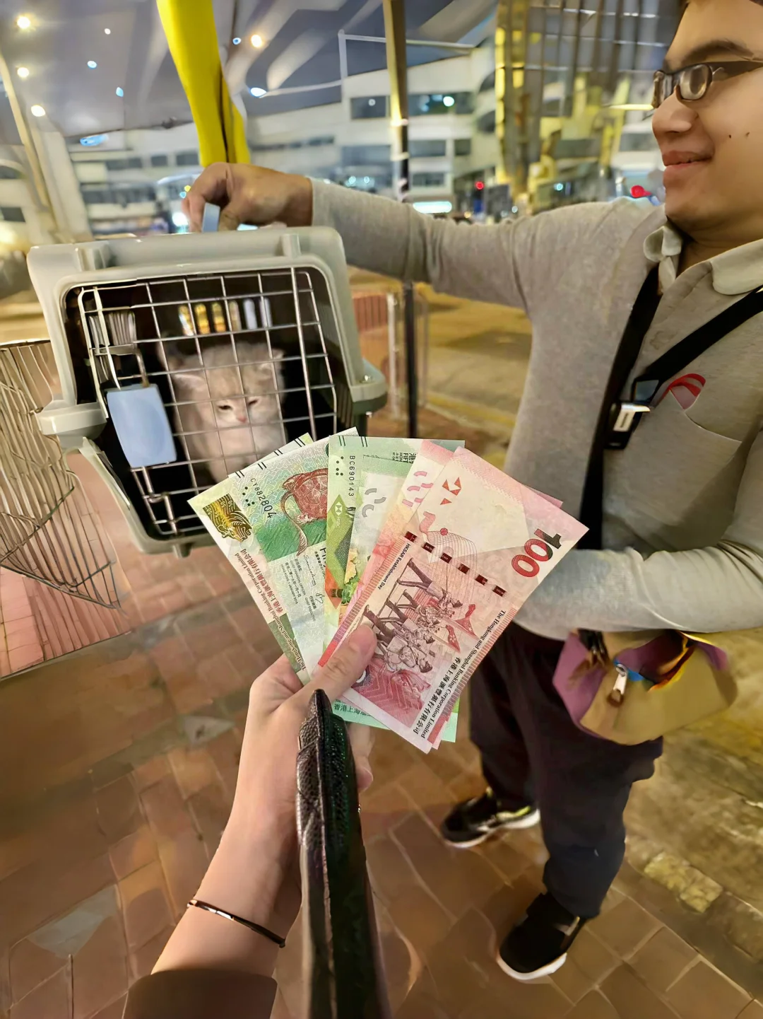 🇭🇰HK賣貓💛心裡話～唉，我說出來吧