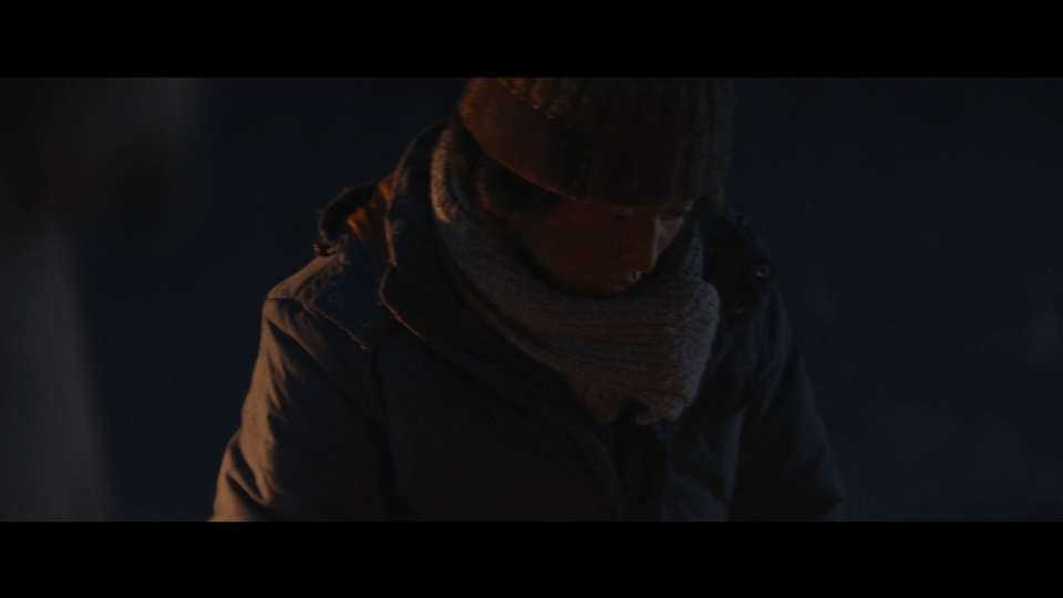 生命树震撼电视剧生命树预告中藏羚羊的尸骨画面真的看一次心痛一次，盗猎者的冷血无情