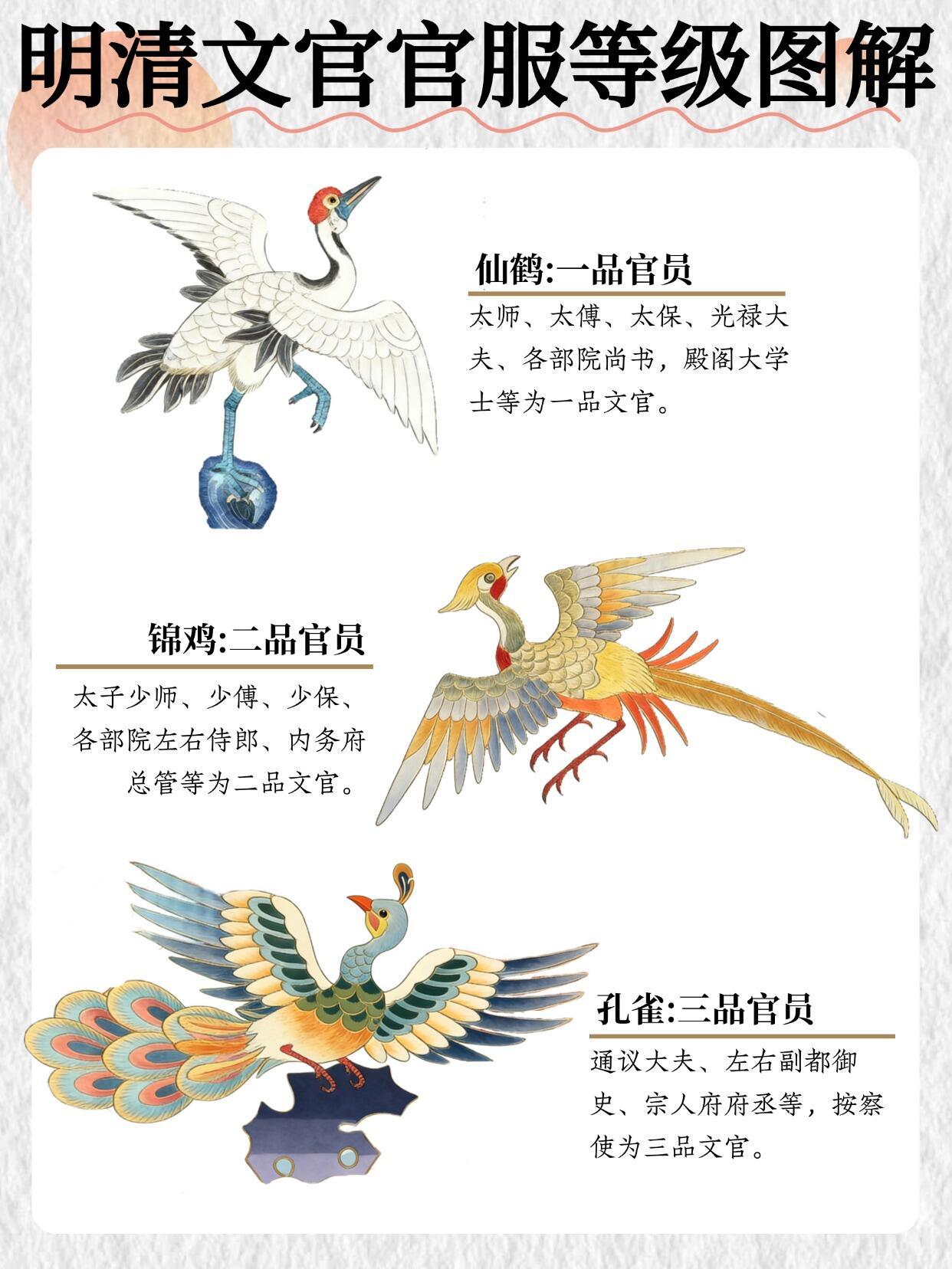 太全了❗️明清文职官员官服的等级划分 
