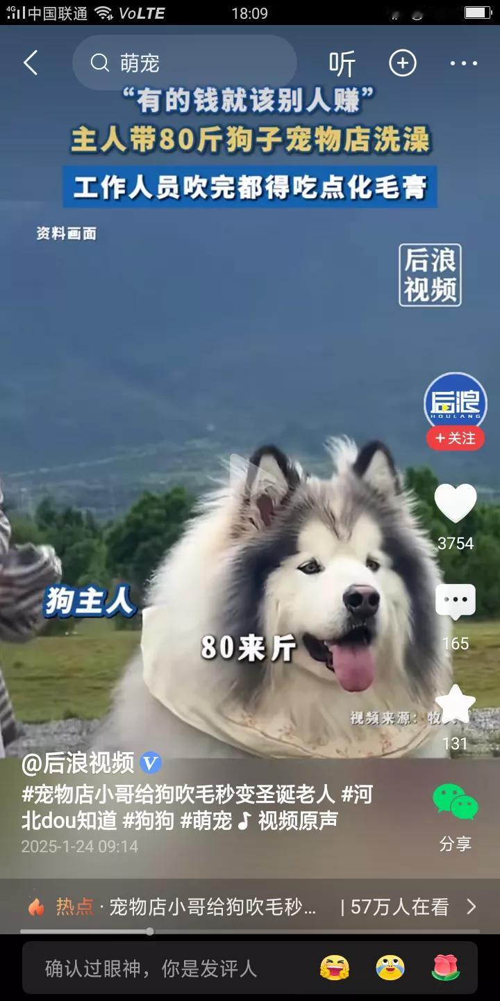 狗主人说，专业的事还是交给专业的人！

8个月的阿拉斯加犬足足有80斤，带去宠物