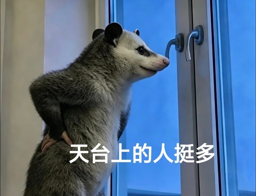 追世界杯的我belike看完每场球赛我的情绪起伏格外夸张，发挥糟糕的球员让人无奈