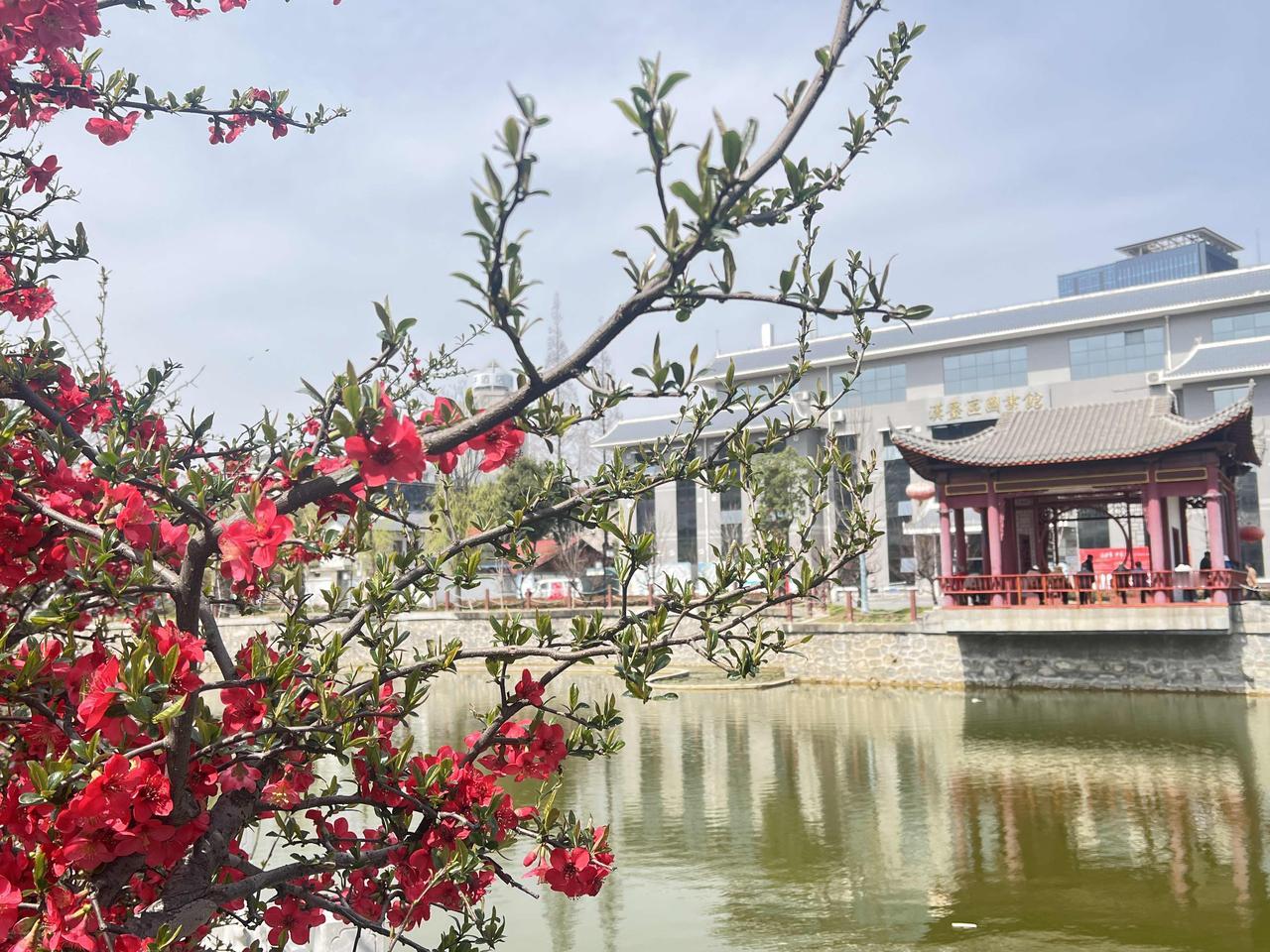 【汉中莲花池公园11月25日起闭园，再次改造！】关于莲花池公园关闭群众出入问题的