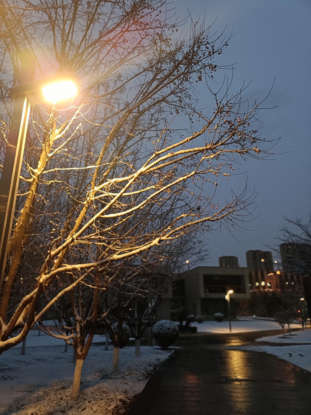 分享一张随手拍下雪的夜晚！[大笑][大笑][大笑][大笑]