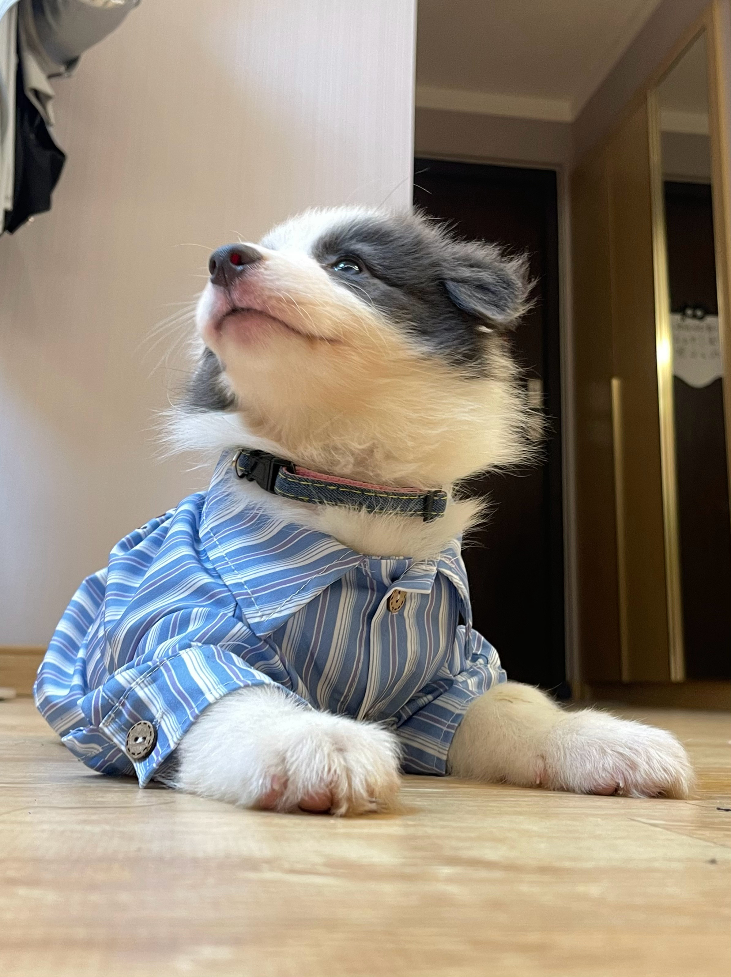 我的宝宝 ​​​