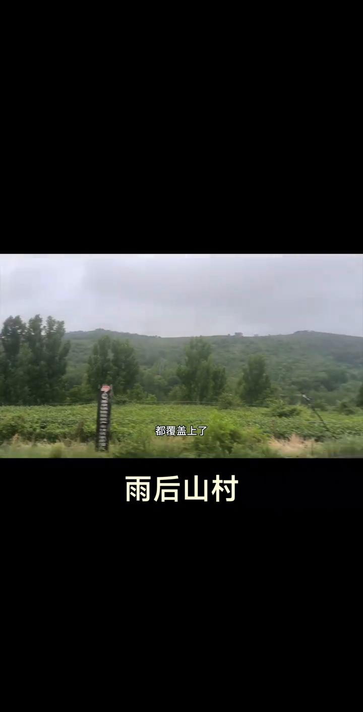 雨后的山村。
各位朋友早上好，今天是5月19号6点半，我在源泉镇天津湾西村这里。