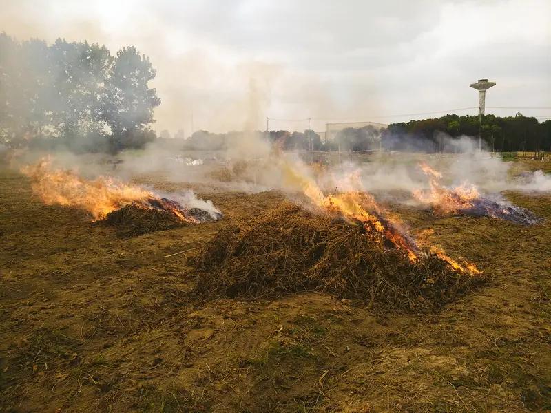 焚烧秸秆,是增肥还是污染? 焚烧秸秆到底是增肥还是污染，这事儿争议不小。有人觉得