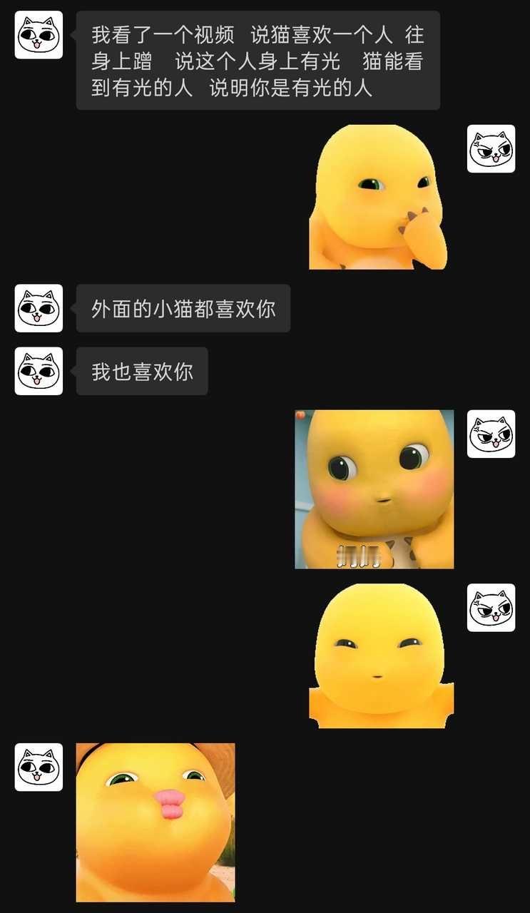 外面的小猫都喜欢你，我也喜欢你(前几天刚和猫猫换了同系列的头像 刚刚收到这条消息