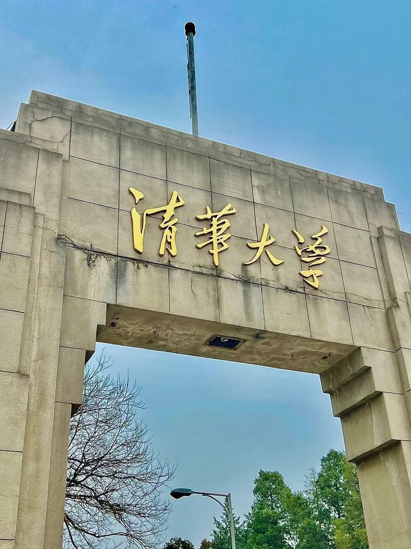 为什么中国一流大学一些尖子生选择去了西方国家扎根，可是这几年中国的科技实力依然在