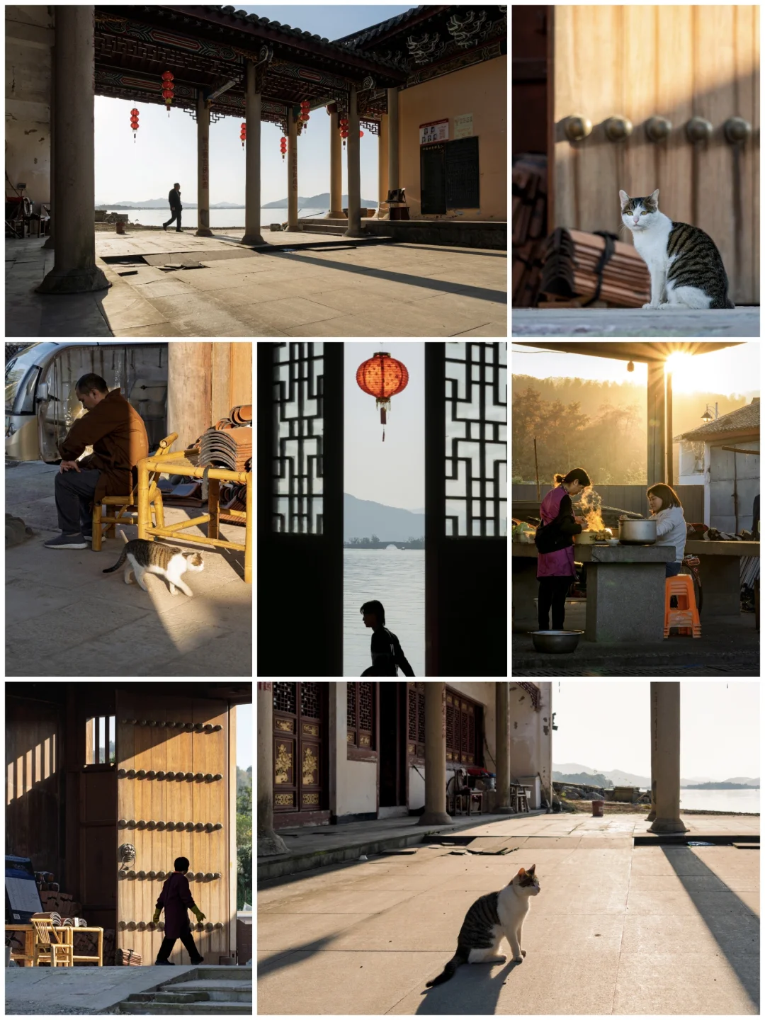 摄影扫街｜拍出故事感｜秋日夕阳下温暖瞬间