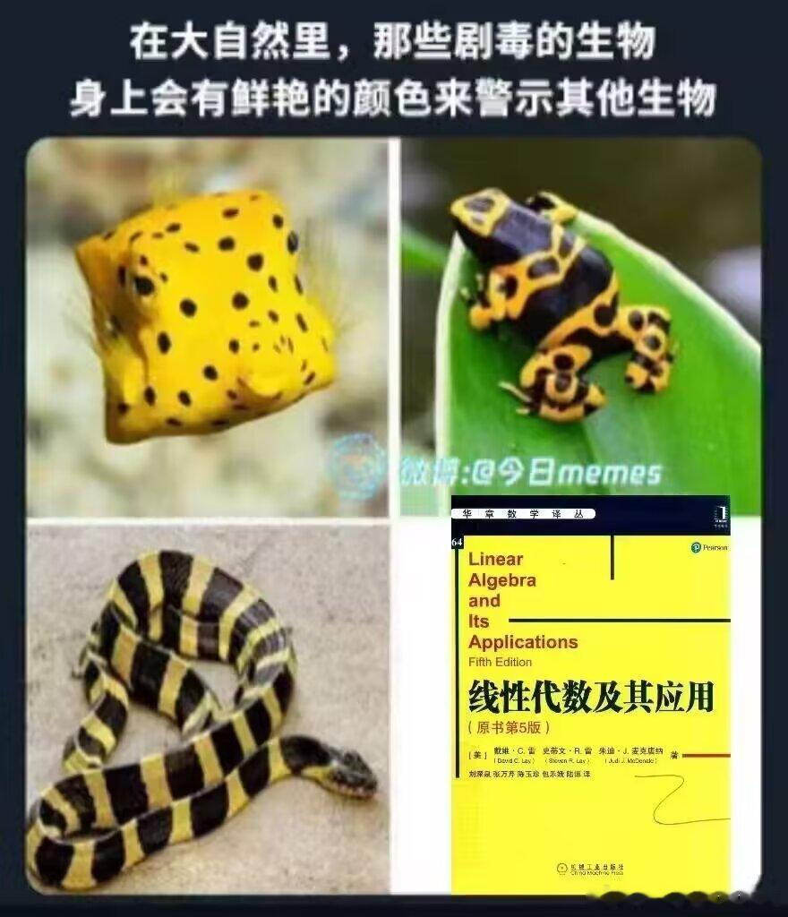 3792比如线性代数 