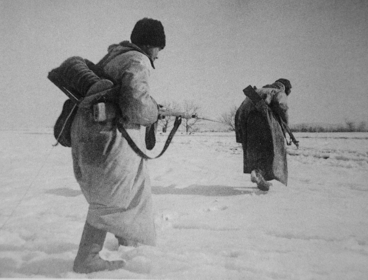 通信兵还真是苦啊——1944 年，乌克兰第 3 方面军，近卫顿河哥萨克骑兵第 5