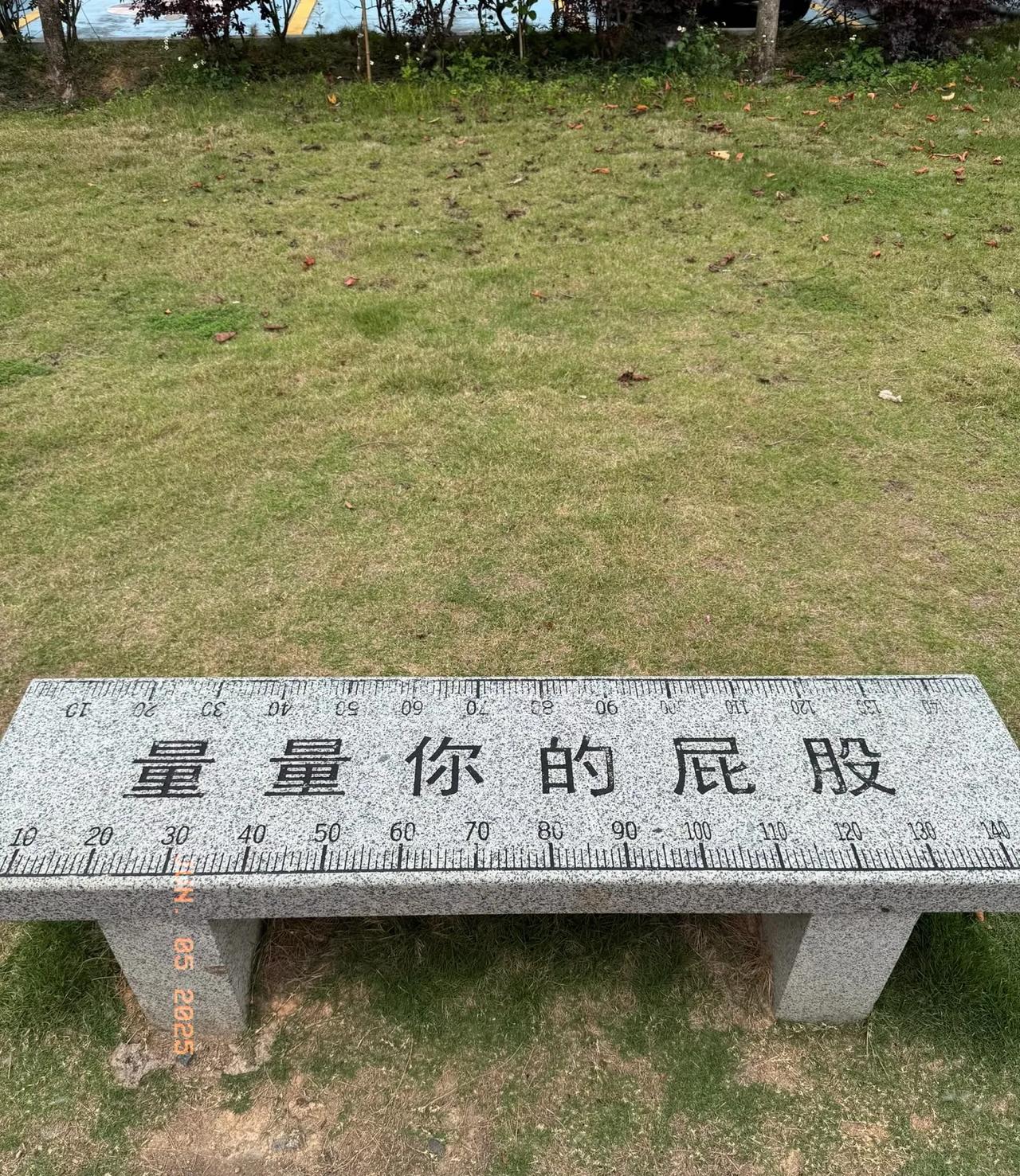 蒜鸟，你肯定觉得没有意思。却多冒昧又让人忍不住想坐一下的石凳子🪑
有什么用？？