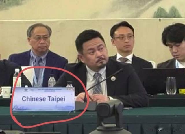 青鸟要崩溃了
今天下午，洪申翰在南京出席APEC人力资源发展会议时，有青鸟在社交