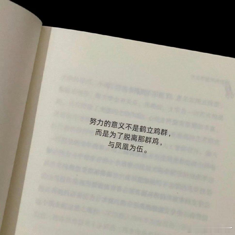 生命力好强的文字。 