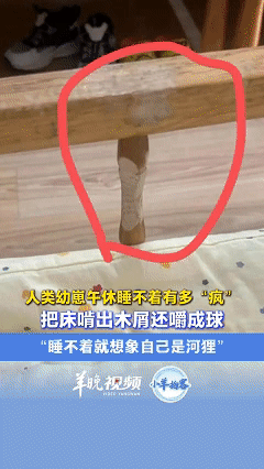 笑不活了！近日安徽合肥，宝妈正在上班，突然接到幼儿园老师发来的照片，照片中被咬烂