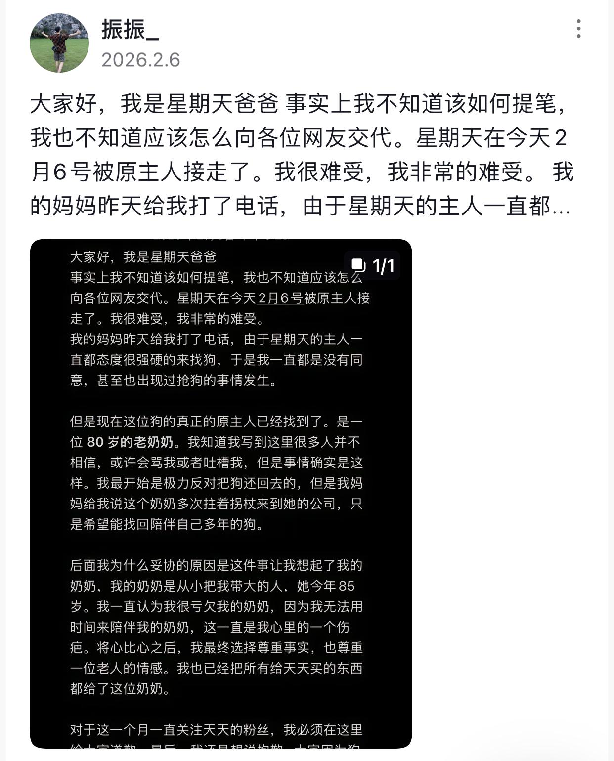 狗在拖着去世同伴流浪时原主人没有理会，被有钱人收养，才过了三个星期的好日子，看见