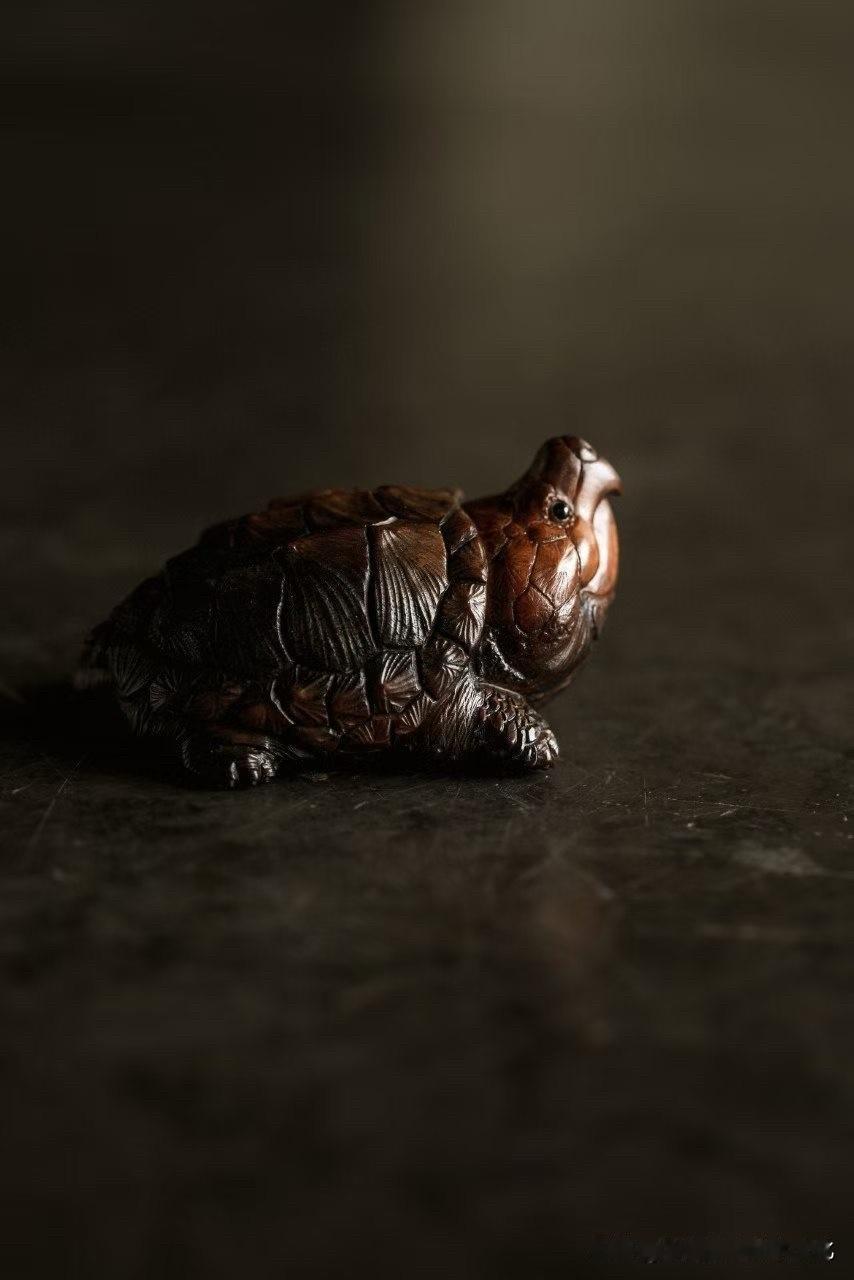 一只小龟，静静趴在掌心。

鹿角的质地，本就带着野性的温度，
经刀锋一点点收敛，