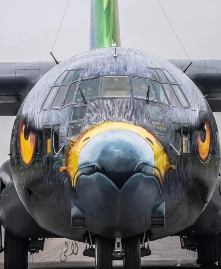 巴基斯坦空军参加英国范保罗航展的C-130H运输机。这特殊涂装，这次出尽风头[笑